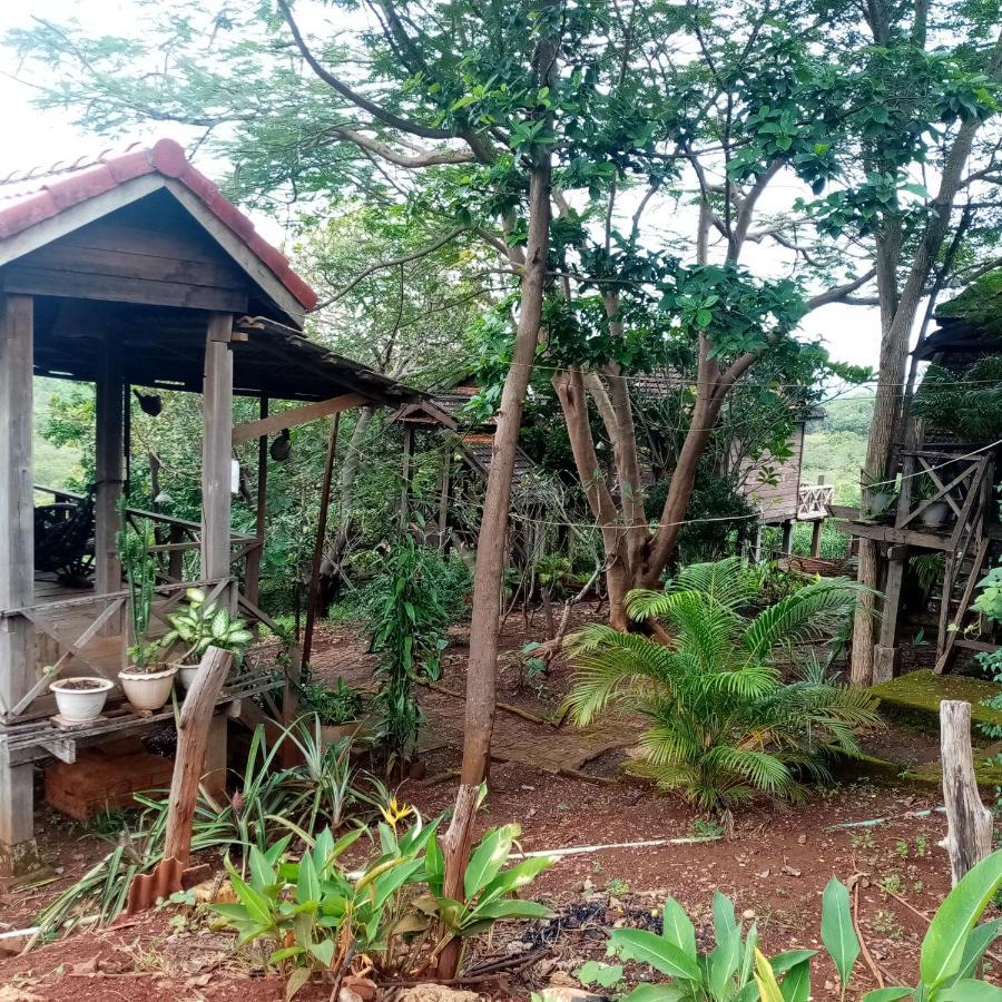Quiet Garden View Lodge&Trekking Banlung Extérieur photo